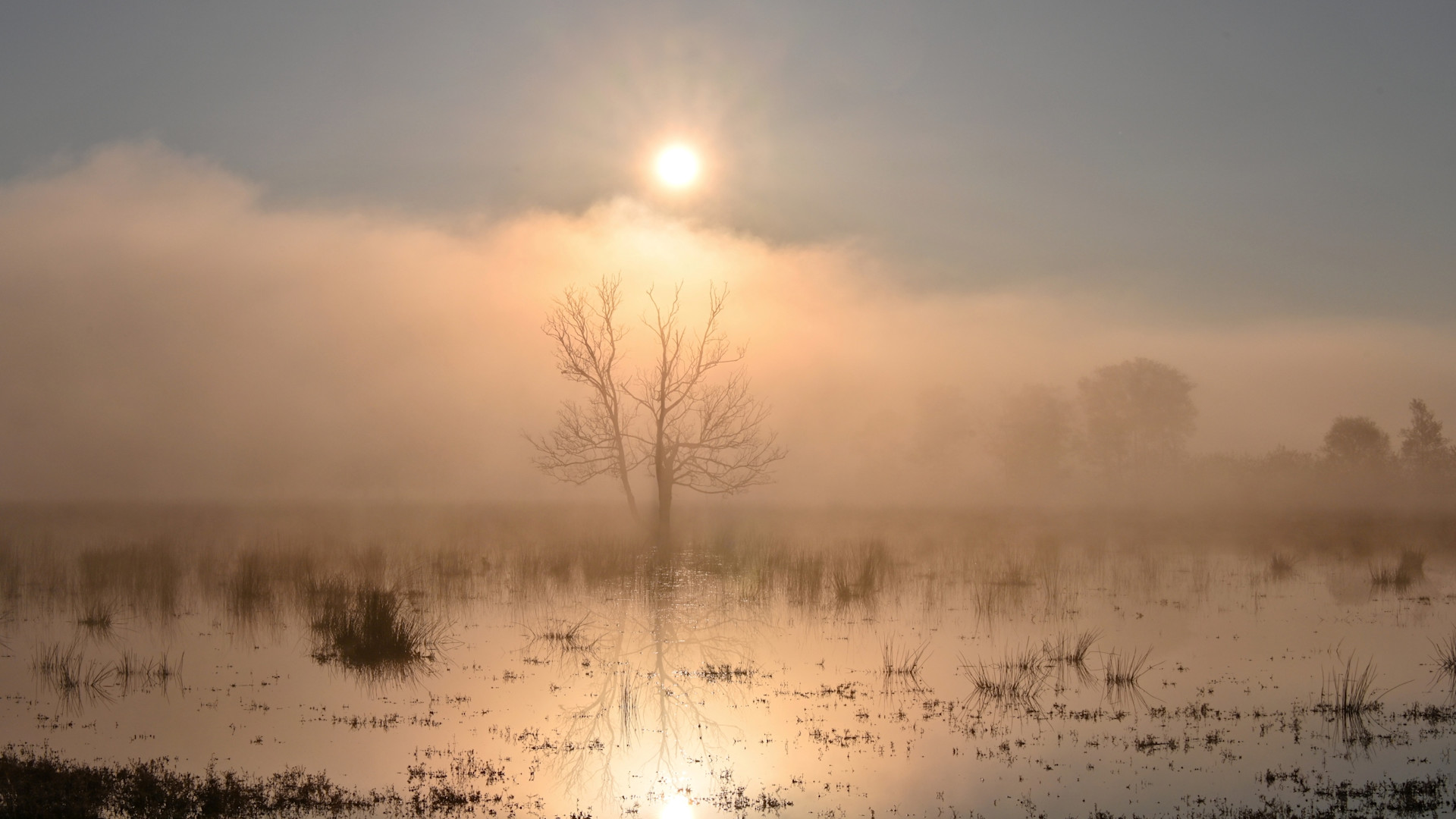 Het verschil tussen weer en klimaat - Weer.nl - Verschil Tussen Weer En Klimaat