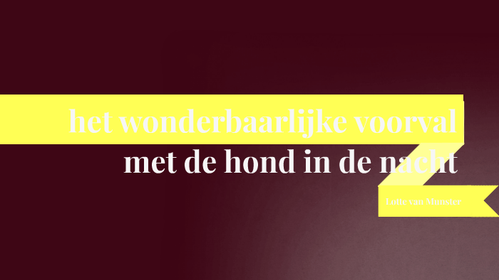 het wonderbaarlijke voorval met de hond in de nacht by lotte van - Het Wonderbaarlijke Voorval Van De Hond In De Nacht