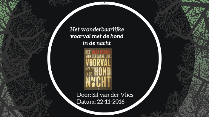 Het Wonderbaarlijke Voorval Van De Hond In De Nacht