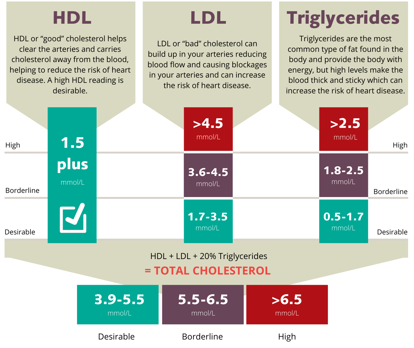 High Cholesterol Remedies, What Is High Cholesterol, Cholesterol - Ldl Cholesterol Hdl Cholesterol Ratio