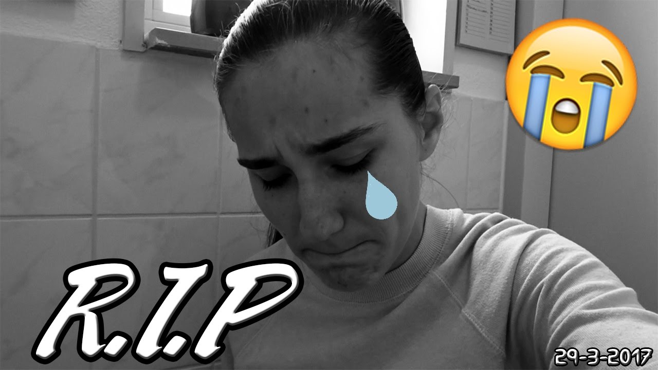 hij is DOOD!....R.I.P - YouTube - Hier Ligt Poot Hij Is Dood
