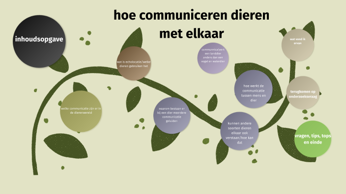 hoe communiceren dieren met elkaar by David Vink on Prezi - Hoe Communiceren Dieren Met Elkaar