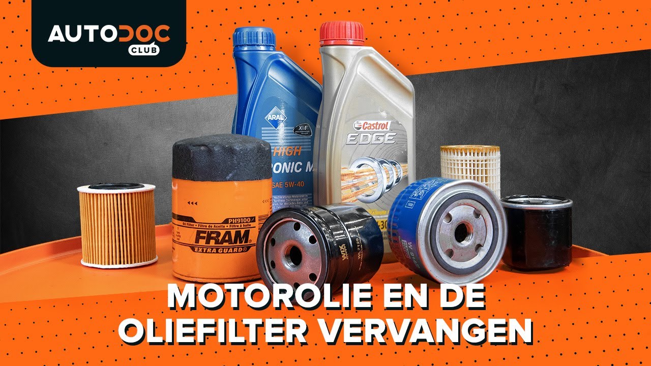 Hoe de motorolie en het oliefilter te vervangen [HANDLEIDING AUTODOC - Olie Van De Palmvrucht 8 Letters