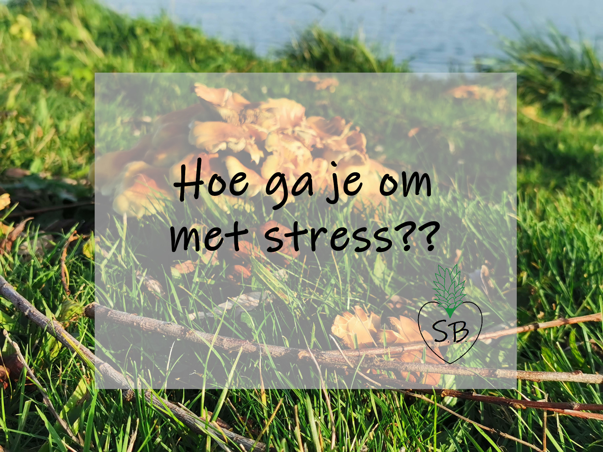 Hoe ga je om met stress?? – Sitting Break - Hoe Ga Je Om Met Stress