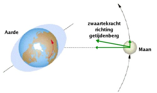 Hoe Groot Is De Maan Ten Opzichte Van De Aarde