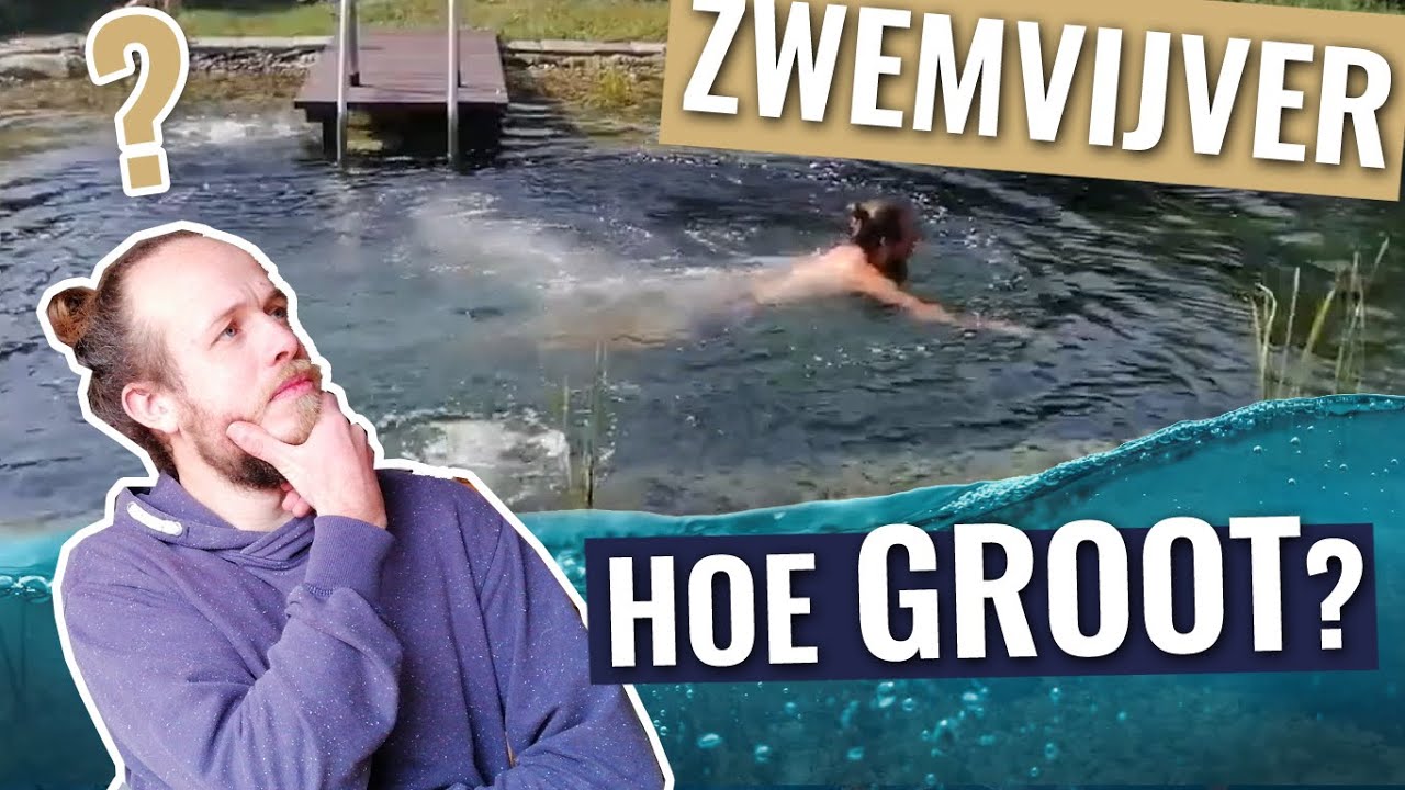 Hoe GROOT moet een ZWEMVIJVER zijn? - YouTube - Hoe Groot Moet Een Steekproef Zijn