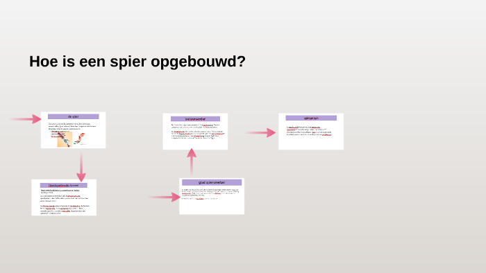 Hoe Is Een Spier Opgebouwd