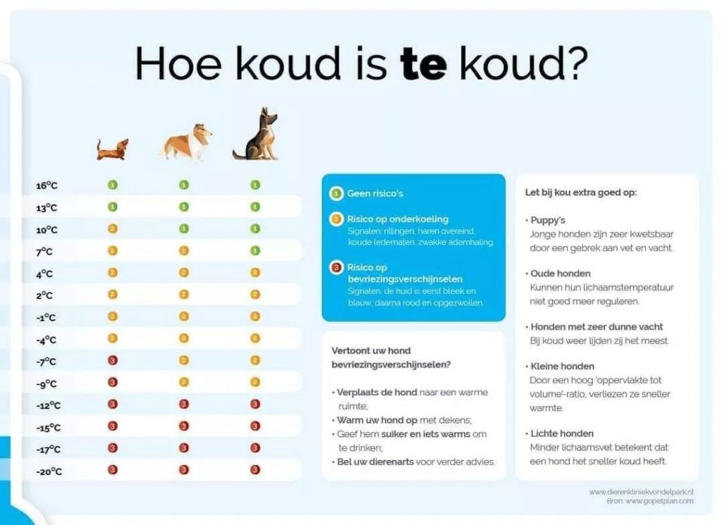 Hoe koud is koud? - Van Olympiastaete - Is Koud In Engeland En Snel In Duitsland