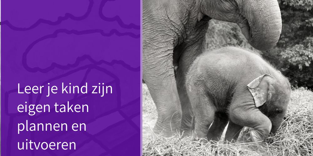 Hoe krijg je ze aan het plannen - Centrum Tea Adema - Plannen Adema Vallen Niet Goed