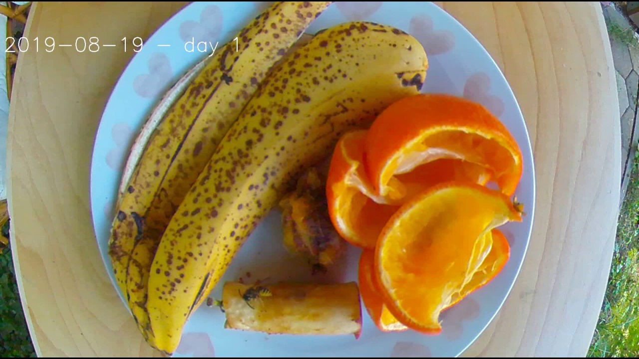 Hoe lang duurt het voordat fruit vergaat? - YouTube - Hoe Lang Voordat Eten Uit Je Maag Is
