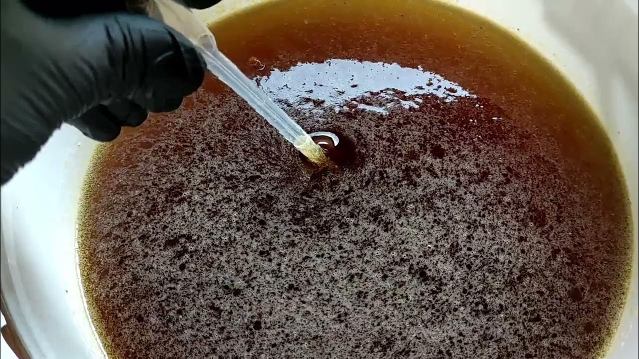 Hoe Lang Zijn Spruitjes Houdbaar