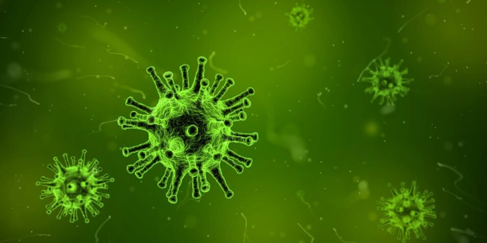 Hoe Lang Kan Een Virus Overleven Buiten De Gastheer