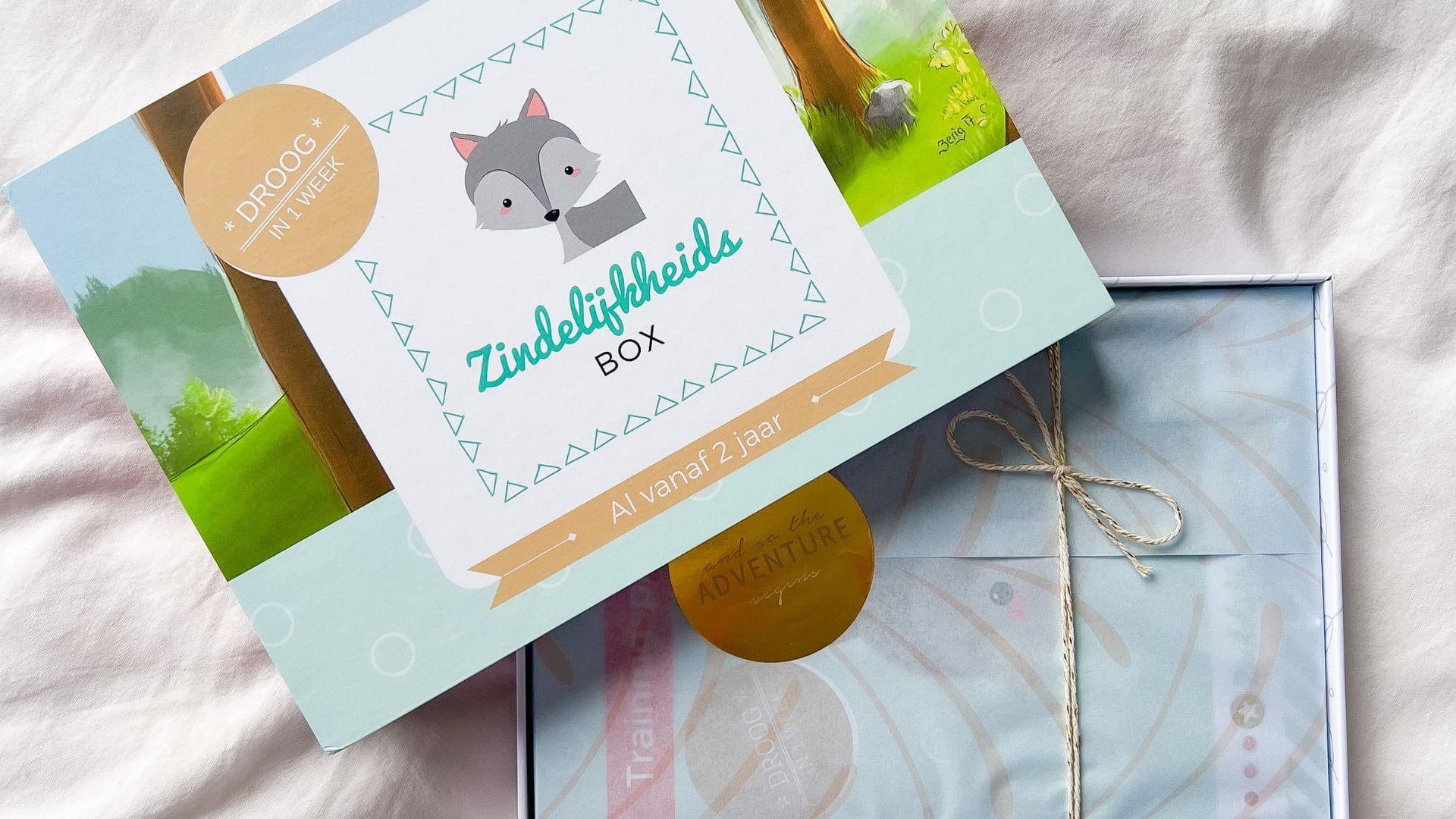 Terugval Zindelijkheid Kind 5 Jaar