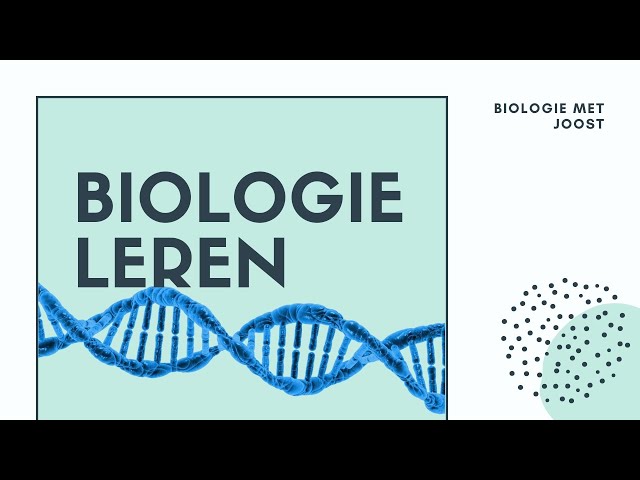 Hoe Leer Je Het Beste Voor Biologie: 8 Effectieve Studietips - Hoe Leer Je Het Beste Voor Biologie