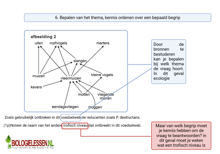 Hoe Leer Je Voor Biologie
