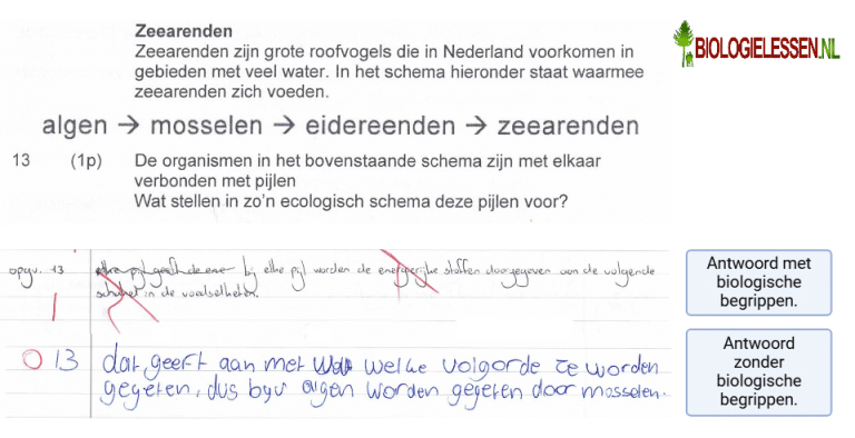 Hoe leer je voor Biologie? | 7 tips - Hoe Leer Je Voor Biologie