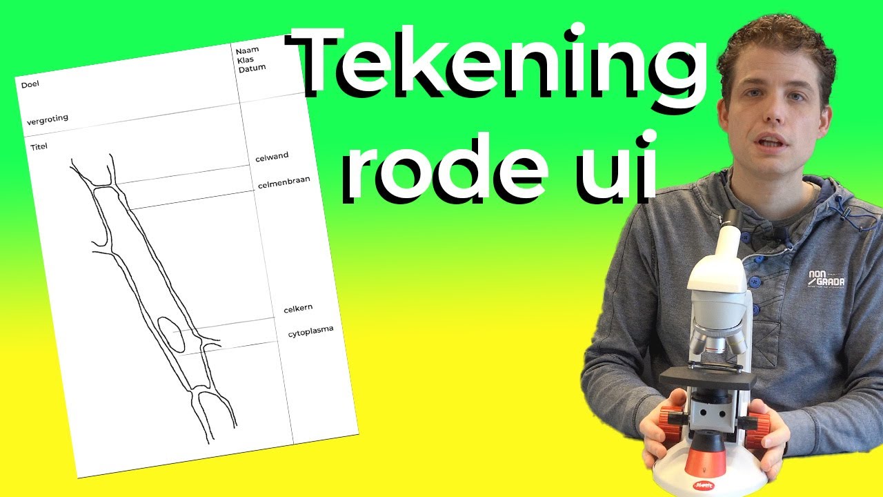Wat Is Een Schematische Tekening