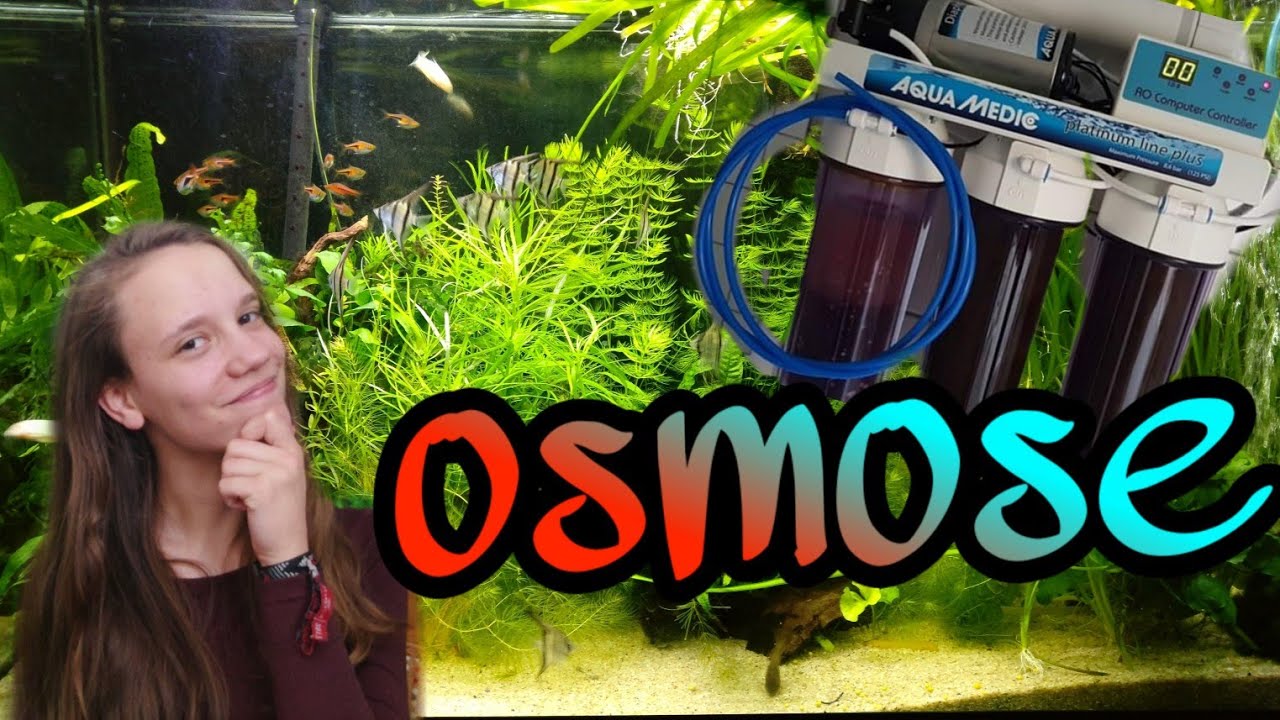 Hoe Maak Je Osmose Water