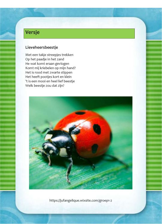 hoe oud wordt een lieveheersbeestje - Mistery Gap - Hoe Oud Wordt Een Lieveheersbeestje