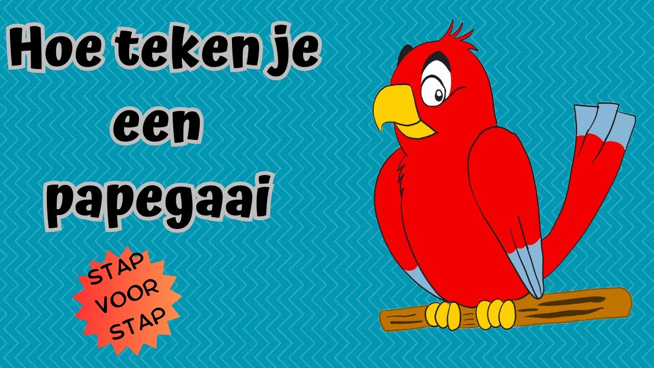Hoe teken je een papegaai | stap voor stap - YouTube - Boek Over Papegaaien Wat Een Geknoei