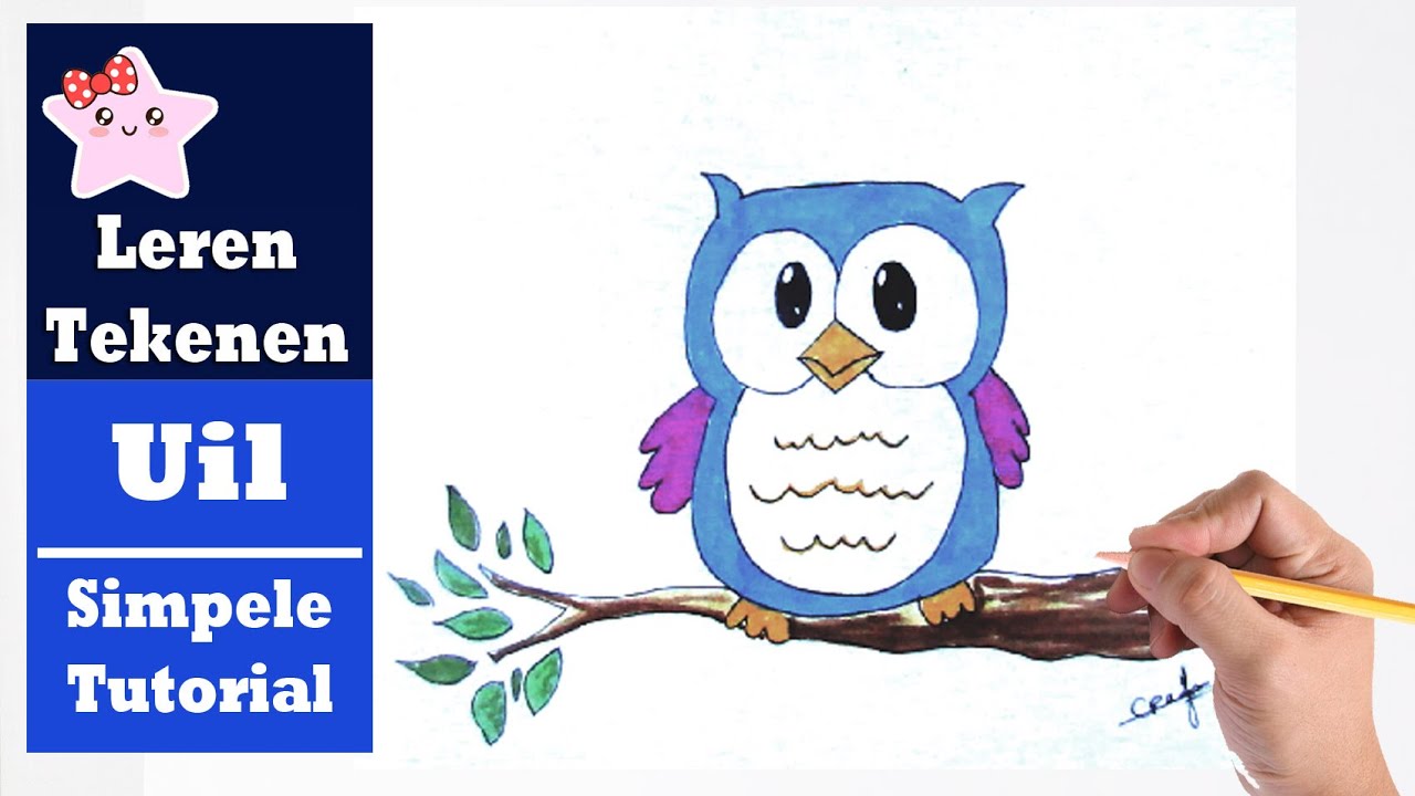 HOE TEKEN JE EEN UIL? KAWAII | BEGINNERS TEKENEN LES - YouTube - Mag Je Een Uil Als Huisdier