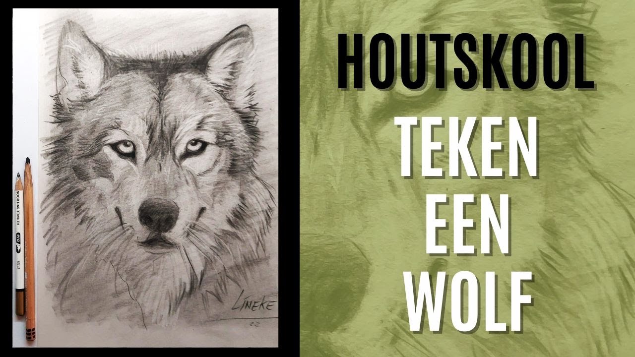 Hoe Teken je een wolf met Houtskool en gumpotlood - YouTube - Mag Je Een Wolf Als Huisdier Hebben