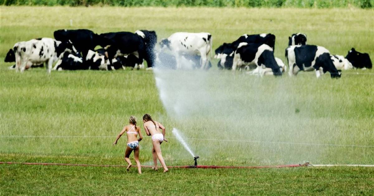 Hoe warm is het bij jou? Bekijk het hier! | Home | gelderlander.nl - Hoe Warm Is Het Hier