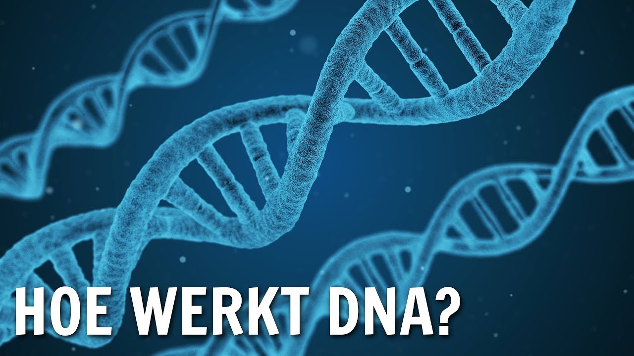 Wat Kost Een Dna Onderzoek