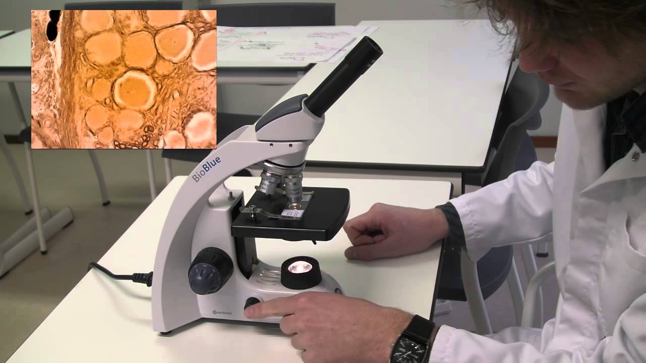 Hoe werkt een microscoop - YouTube - Wat Zie Je Door Een Telescoop