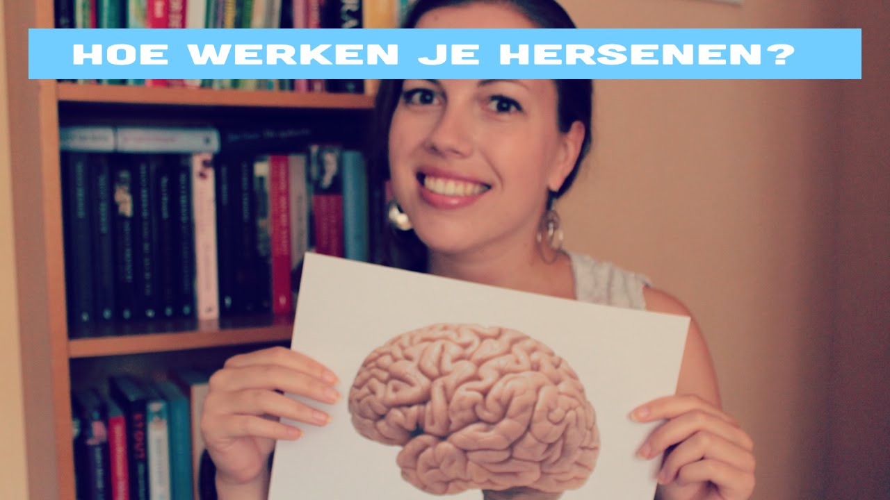 'Hoe werkt je brein' voor beginners - YouTube - Benen 90 Graden Omhoog Goed Voor Hoofd Hersenen