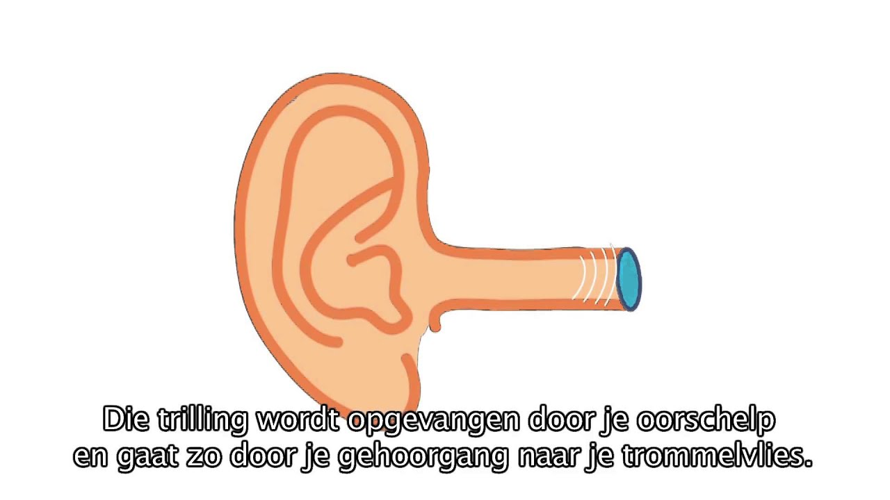 Hoe werkt je oor? - YouTube - Nog Niet Droog Achter Je Oren Zijn