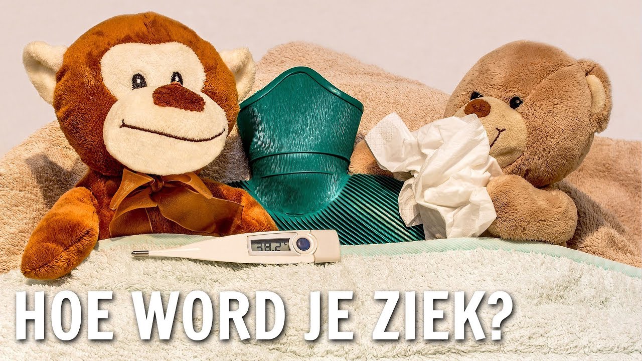 Hoe word je ziek? | De Buitendienst over Epidemieën - YouTube - Hoe Voorkom Je Dat Je Ziek Word