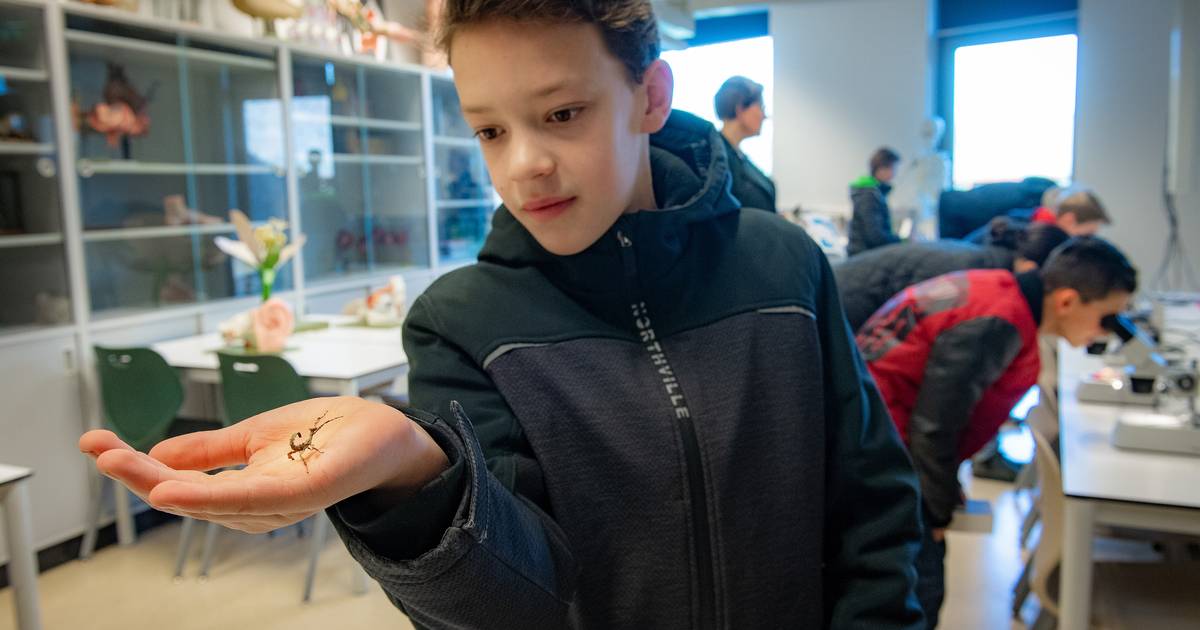 ‘Hoe zit het met de open dagen van middelbare scholen?’ | Nijmegen | AD.nl - Open Dagen Middelbare Scholen 2024 Nijmegen
