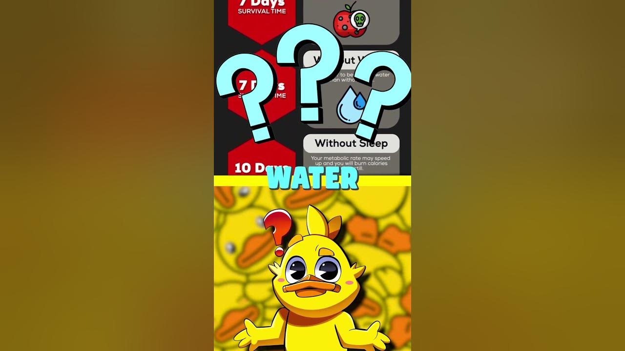 Hoelang Kan Je Leven Zonder BREIN?🧠😱😨 - YouTube - Kun Je Leven Zonder Maag