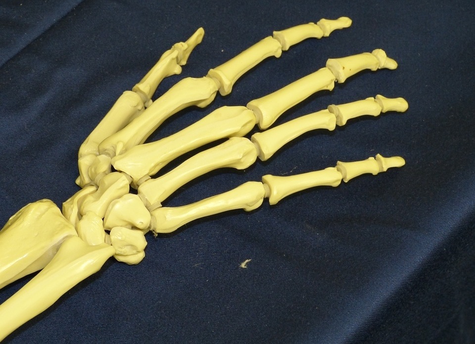 Hoeveel botjes zitten in je hand? - Yoors - Uit Hoeveel Botjes Bestaat Een Hand