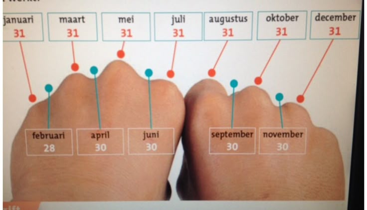 Hoeveel dagen heeft een maand. | Klokkijken, Onderwijs wiskunde - Hoeveel Dagen Duurt De Zomervakantie