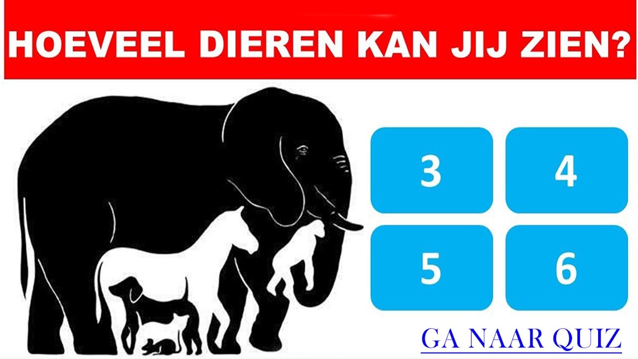 Hoeveel dieren heb je geteld? - YouTube - Hoeveel Ijstijden Waren Er In Het Kwartair