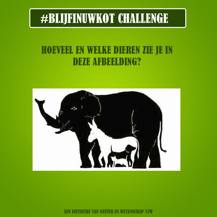 Hoeveel Dieren Zijn Er In De Wereld
