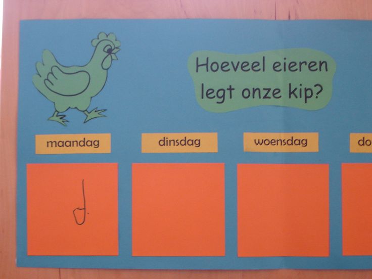 Hoeveel Eieren Legt Een Ooievaar