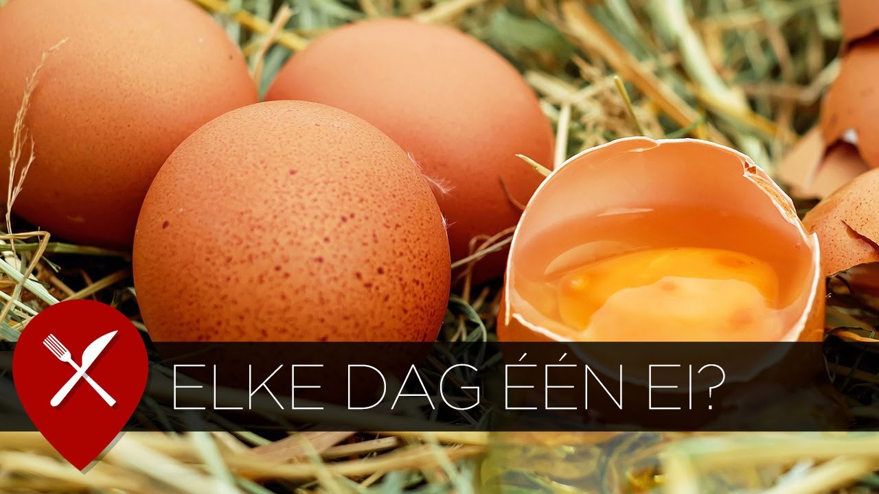 Hoeveel eieren mag je per dag eten? - YouTube - Hoeveel Stenen Moet Je Per Dag Eten