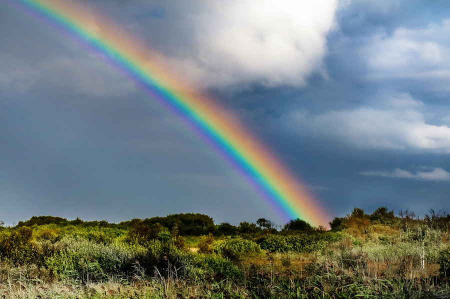 Hoeveel Kleuren Heeft De Regenboog