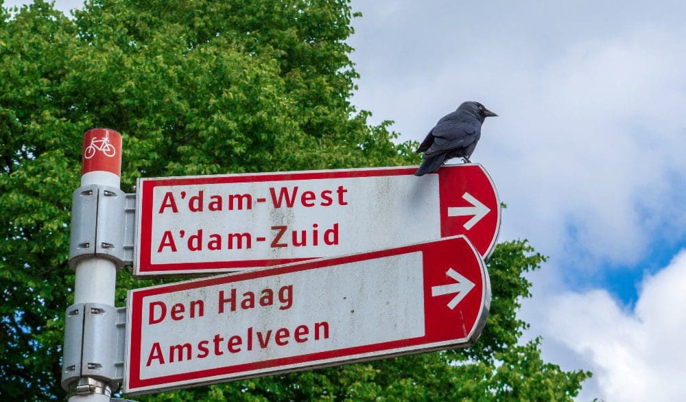 Hoeveel Mensen Wonen Er In Nederland