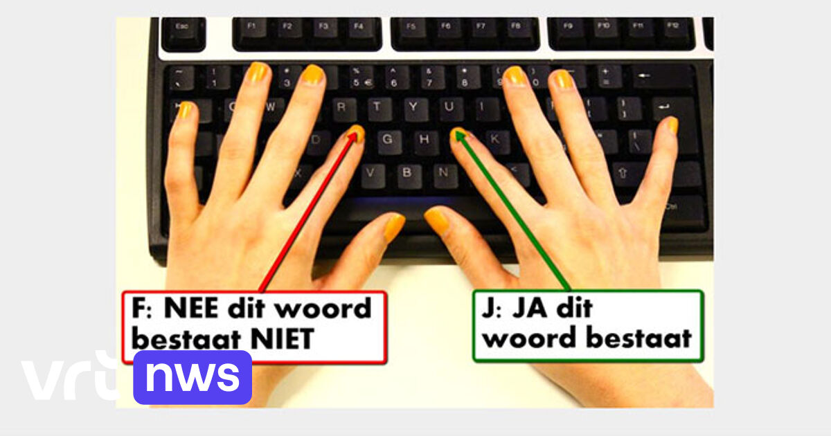 Hoeveel Nederlandse woorden kent u? Doe de test | VRT NWS: nieuws - Hoeveel Woorden Zijn Er In Het Nederlands