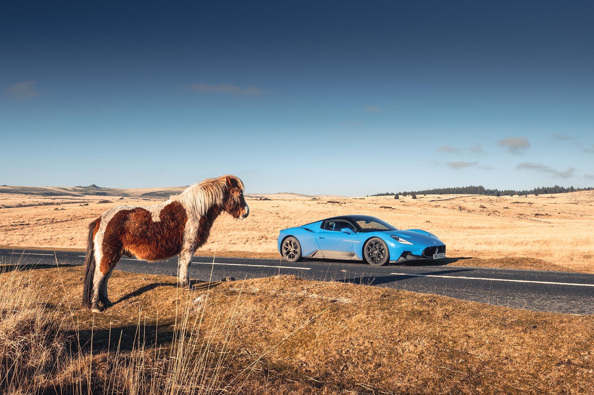 Hoeveel Pk Heeft Een Paard - Richlifeinsiders.com - Hoeveel Pk Heeft Een Paard