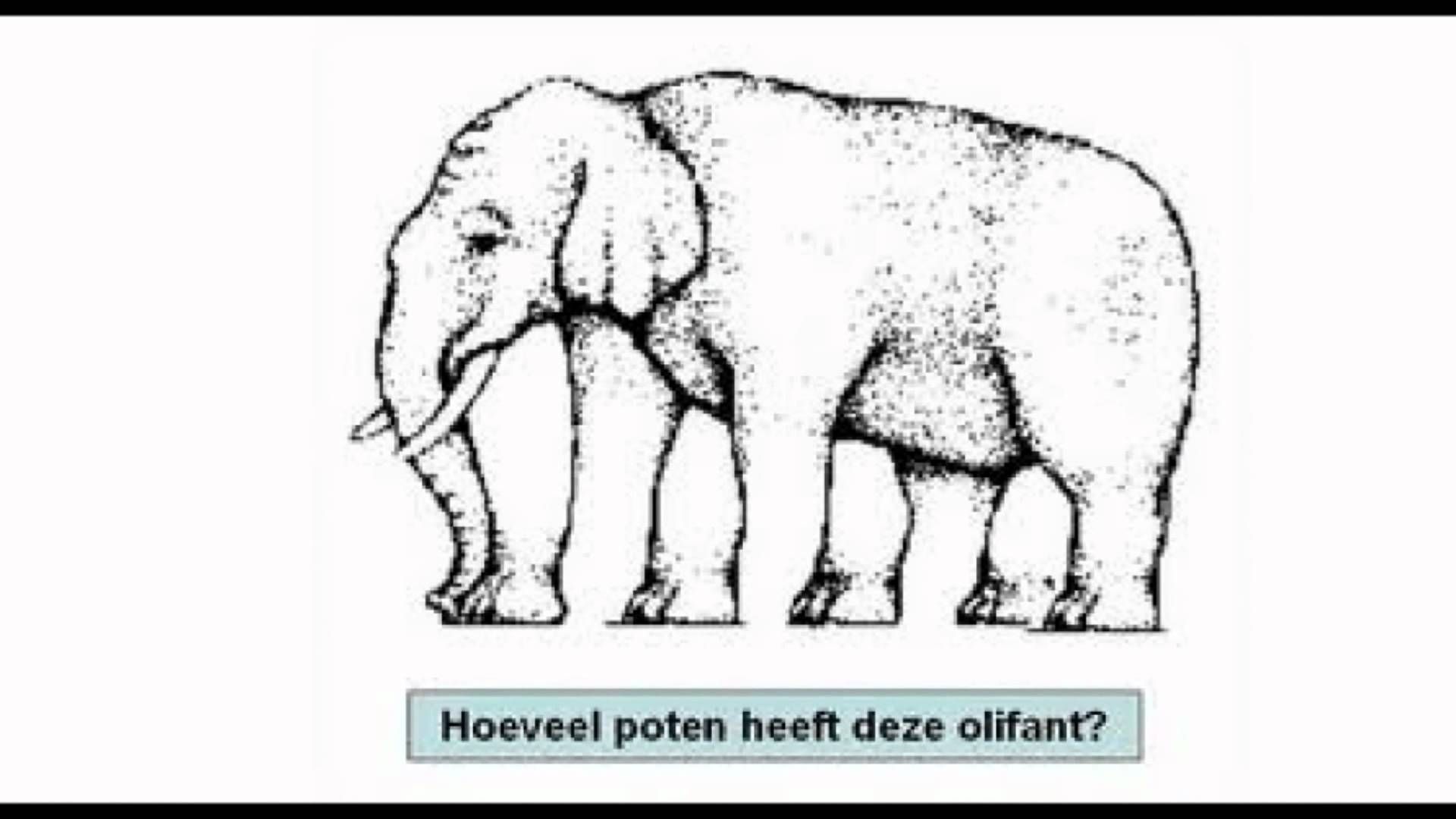 hoeveel poten heeft deze olifant? (met afbeeldingen) | Optische - Hoeveel Poten Heeft Een Kreeft
