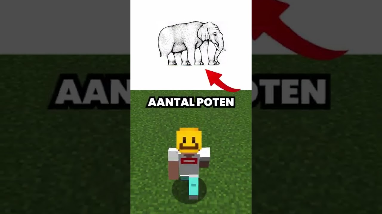 Hoeveel Poten Heeft Een Lieveheersbeestje