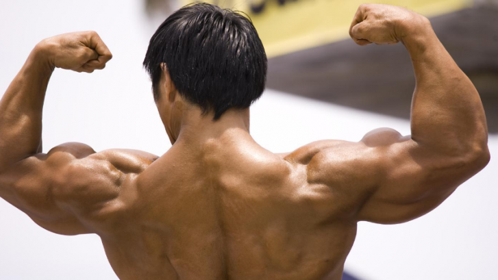 Hoeveel spieren heeft een mens? | Muscle Concepts - Hoeveel Spieren Heeft Een Mens