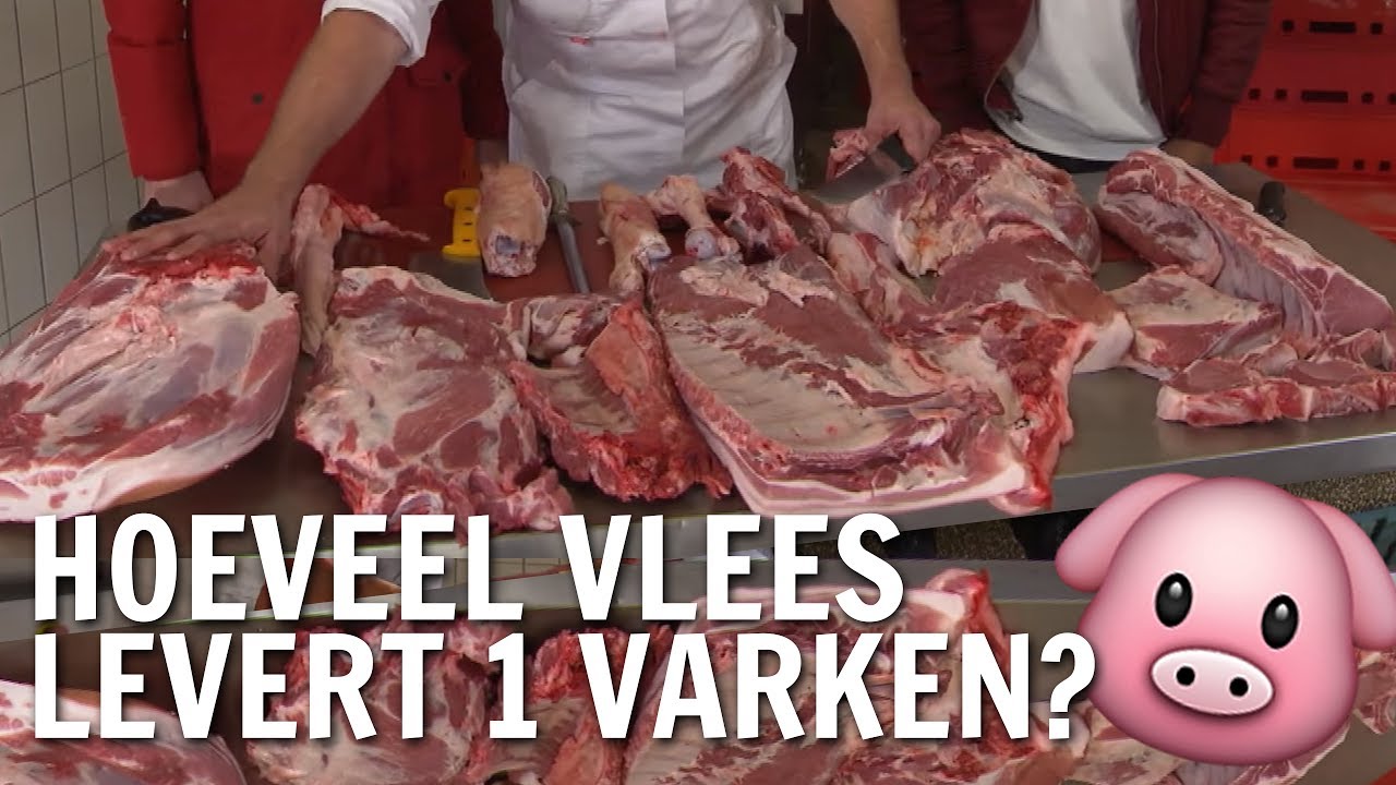 Hoeveel vlees levert 1 varken? | De Buitendienst over varkens - YouTube - Mest Kopen Bij De Boer