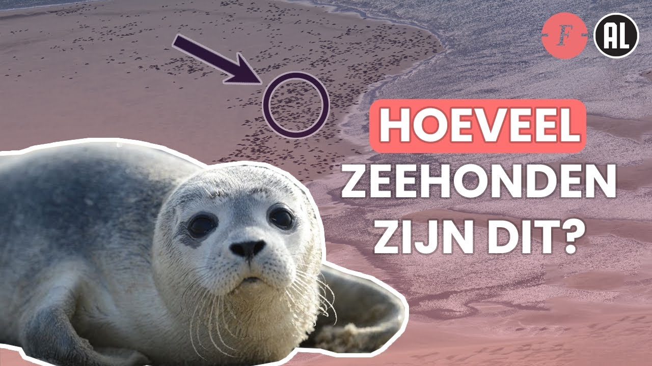 Hoeveel Mensen Wonen Er Op Terschelling