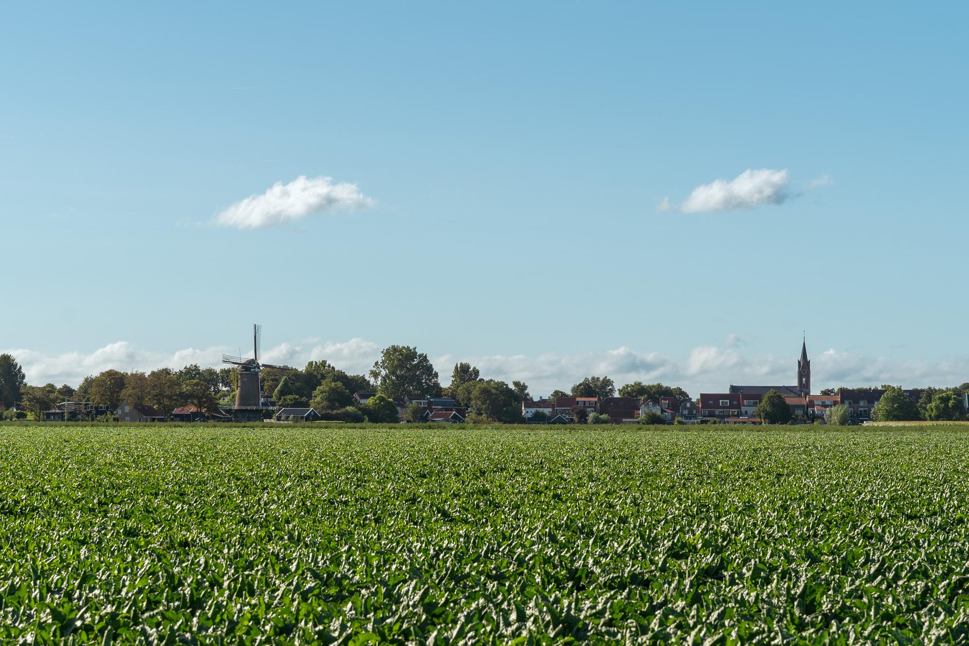 Hofstede Villetta, Zonnemaire - Allyourz - Het Weer In Zonnemaire